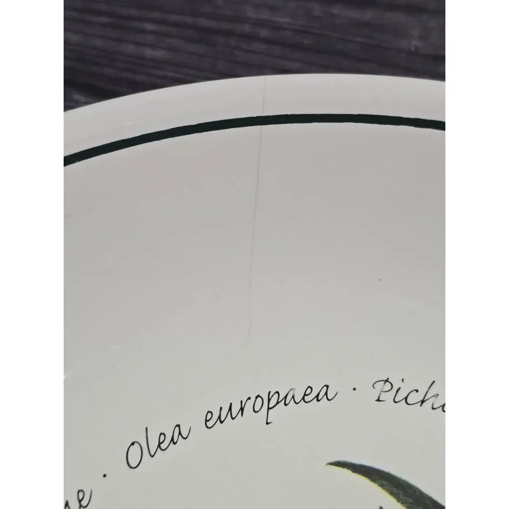 Williams Sonoma WSO20 Olea Europaea Pasta Bowls Set of 4 + 1 FREE Cracked Bonus